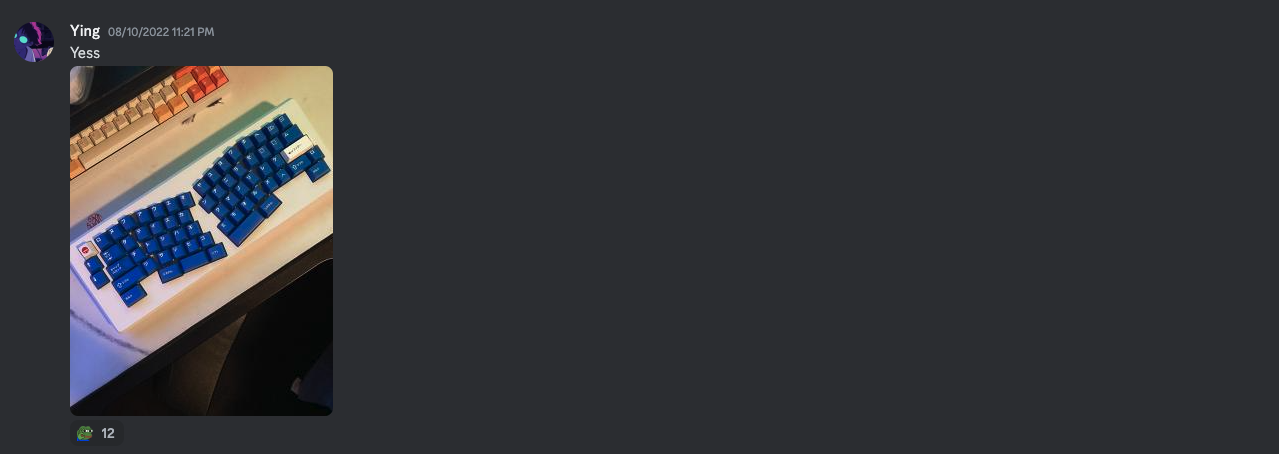 discord testimonial